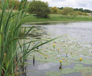 Corinshigo Lough, Co. Monaghan