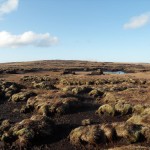 Eroded upland blanket bog, Comeragh Mountains, Co. Waterford, photo by Kate McNutt