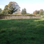 Stone wall and improved agricultural grassland, photo by BEC Consultants