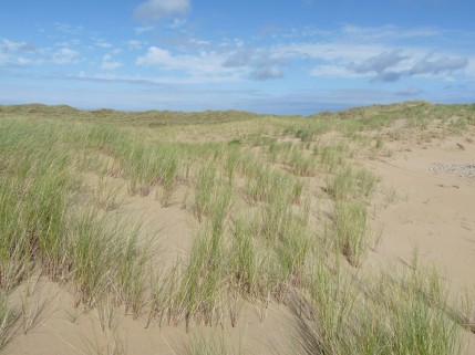 Dunes at Dooey, Co. Donegal, photo by Aoife Delaney