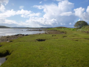 Saltmarsh at Barna, Co. Galway, photo by John Brophy